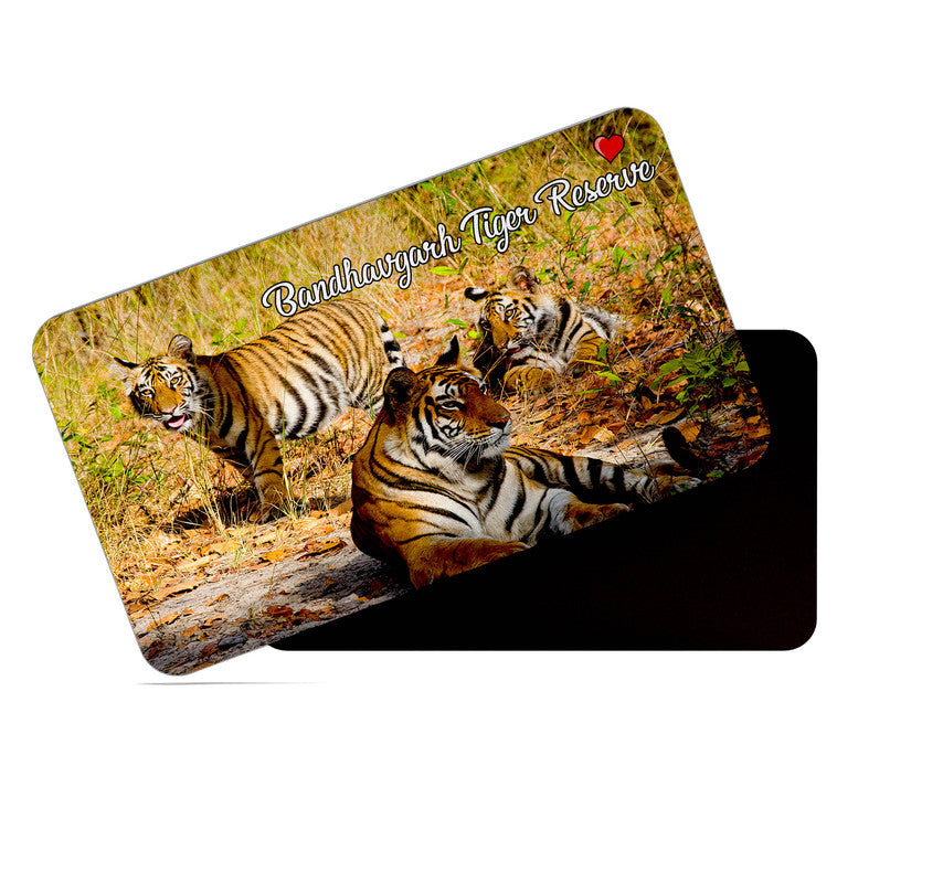 dhcrafts Rectangular Rubber Fridge Magnet / Magnetic Card Multicolor Bandhavgarh National Park Madhya Pradesh Design Pack of 1 (8.6cm x 5.4cm)